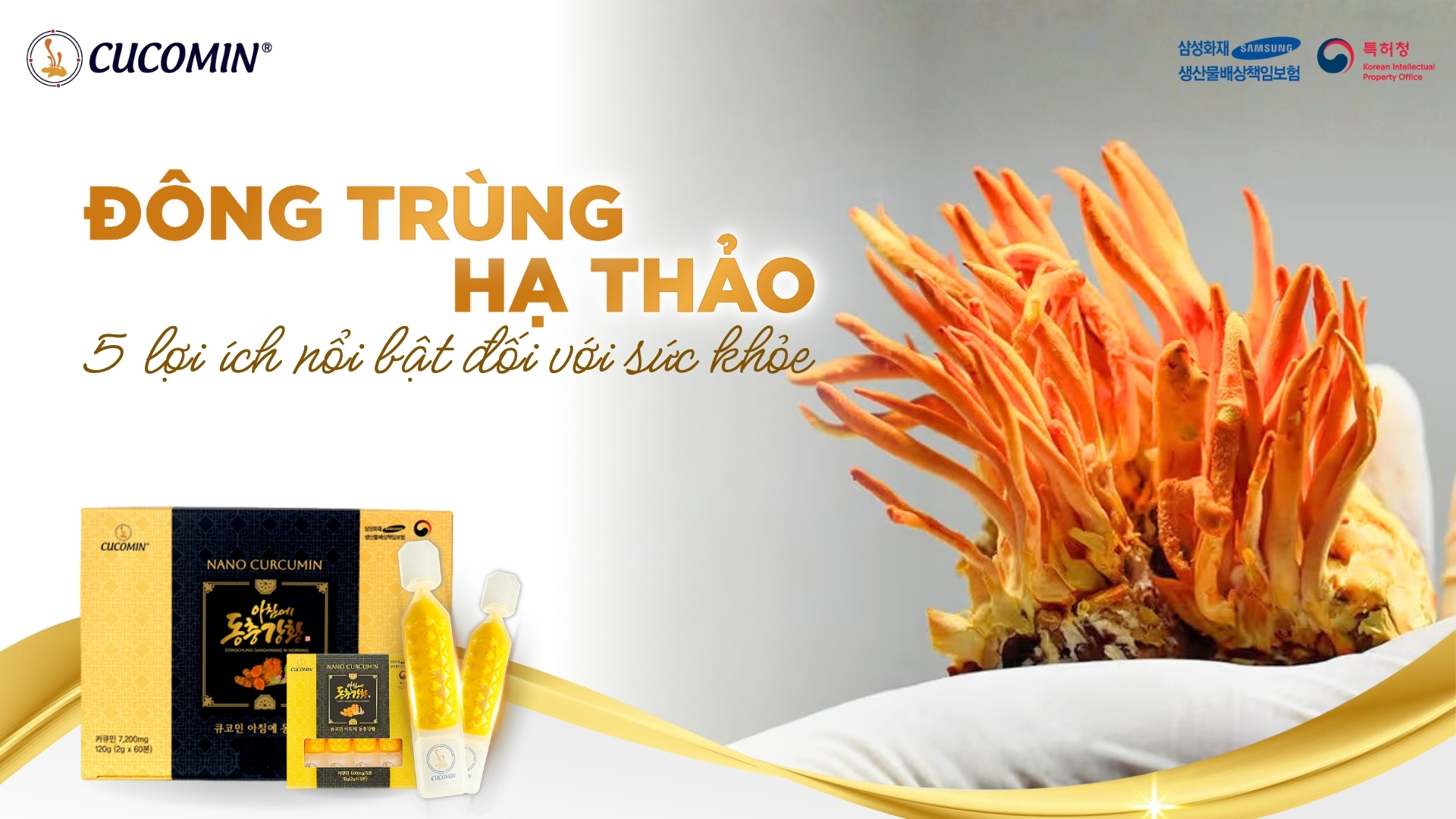 5 công dụng đông trùng hạ thảo