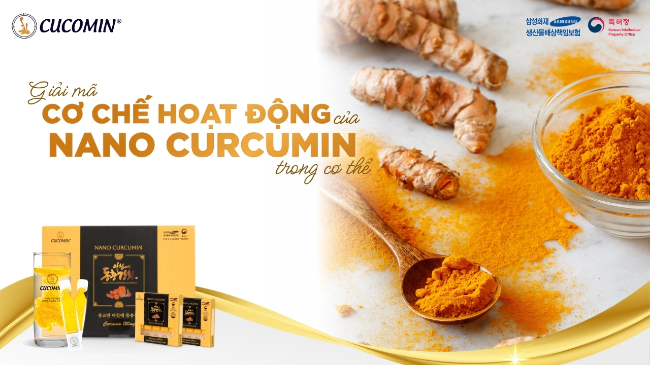 cơ chế hoạt động của Nghệ Nano Curcumin