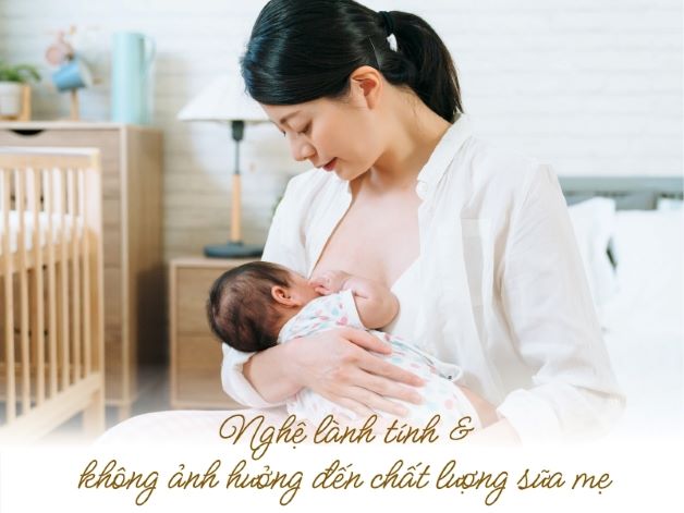 Mẹ sau sinh uống nghệ an toàn và không ảnh hưởng đến sữa mẹ
