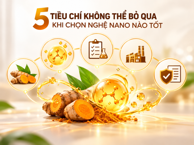 5 tiêu chí không thể bỏ qua khi chọn nghệ nano nào tốt