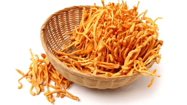 Vì sao đông trùng hạ thảo được nhiều mẹ chọn bồi bổ sau sinh